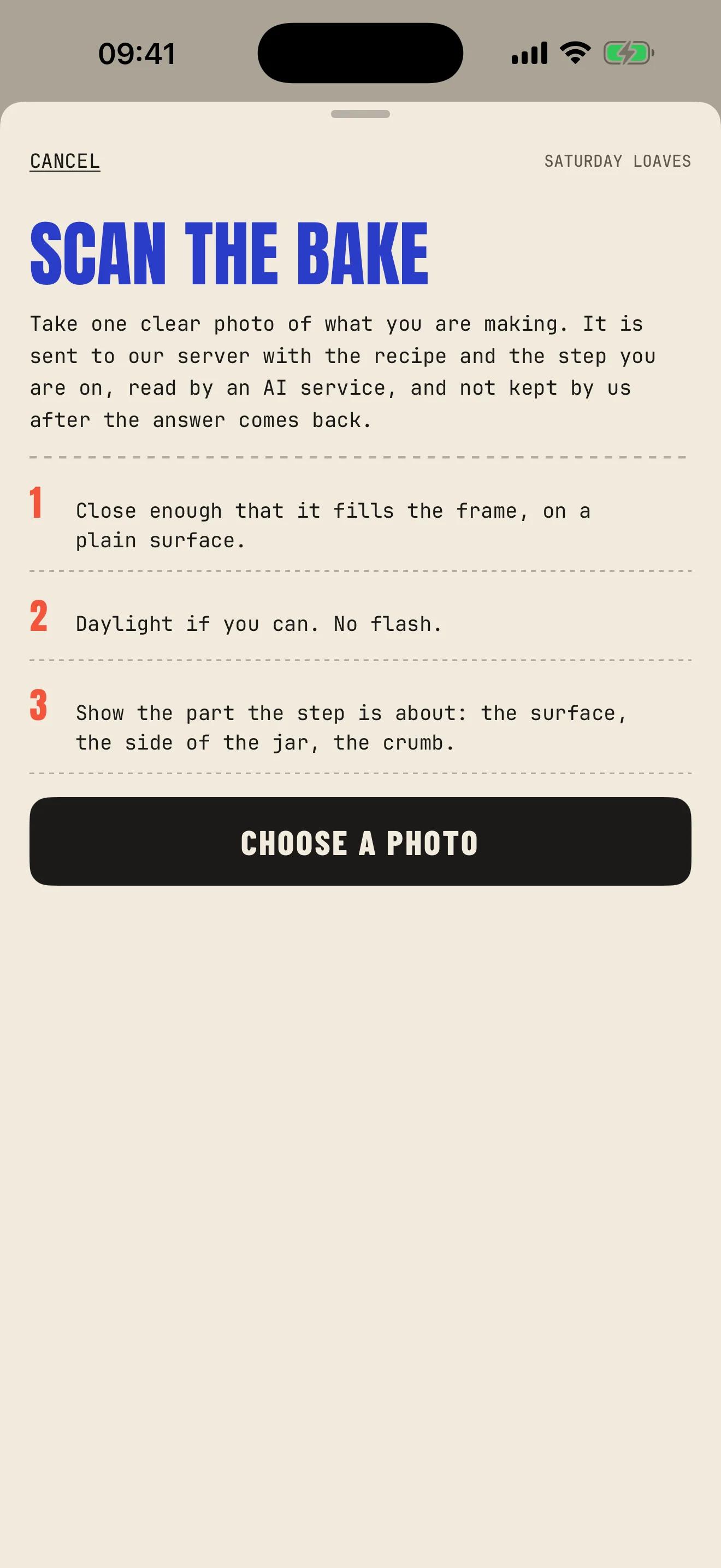 The photo scan for Saturday loaves, with three tips for taking one clear photo.